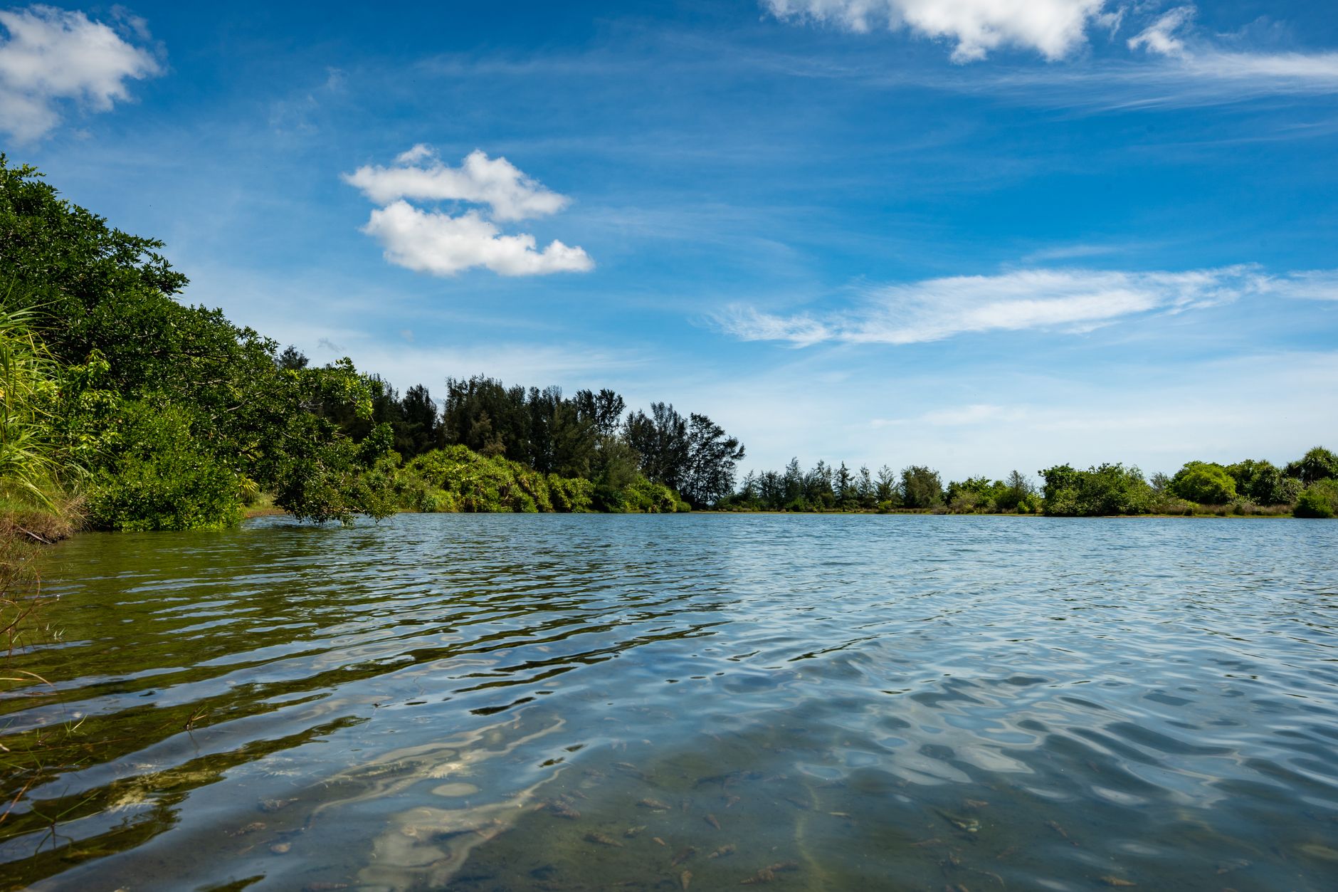 Tranquil waters of Batticaloa Lagoon with lush greenery under a vibrant blue sky in Eastern Sri Lanka.