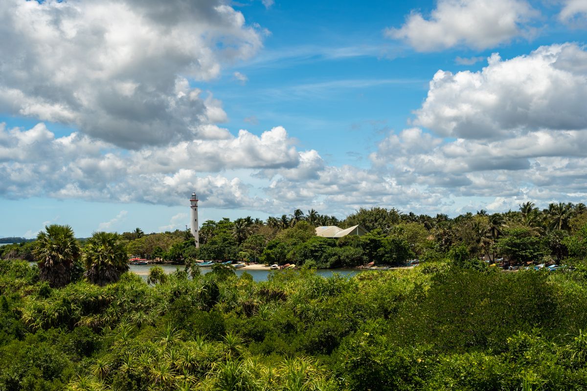 Batticaloa Lagoon: All You Should Know Before Going To Sri Lanka