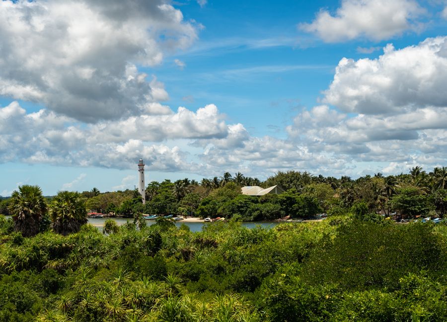 A beautiful landscape of Batticaloa Lagoon with a lighthouse and lush greenery under a clear sky.