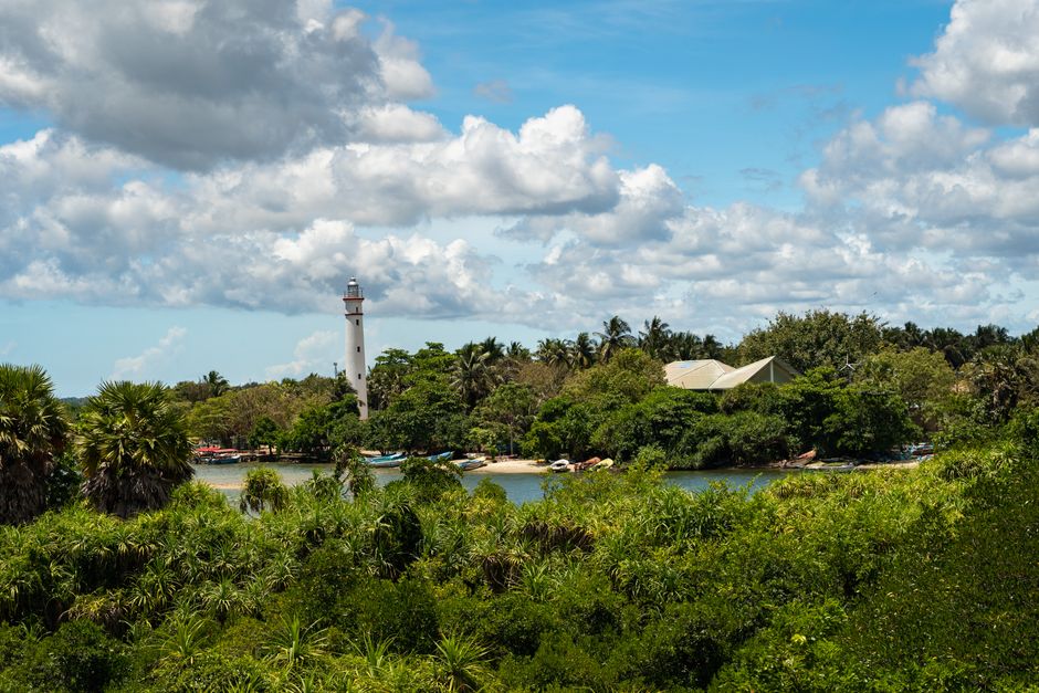 The greenery and serene waters of Batticaloa Lagoon, Sri Lanka The greenery and serene waters of Batticaloa Lagoon, Sri Lanka