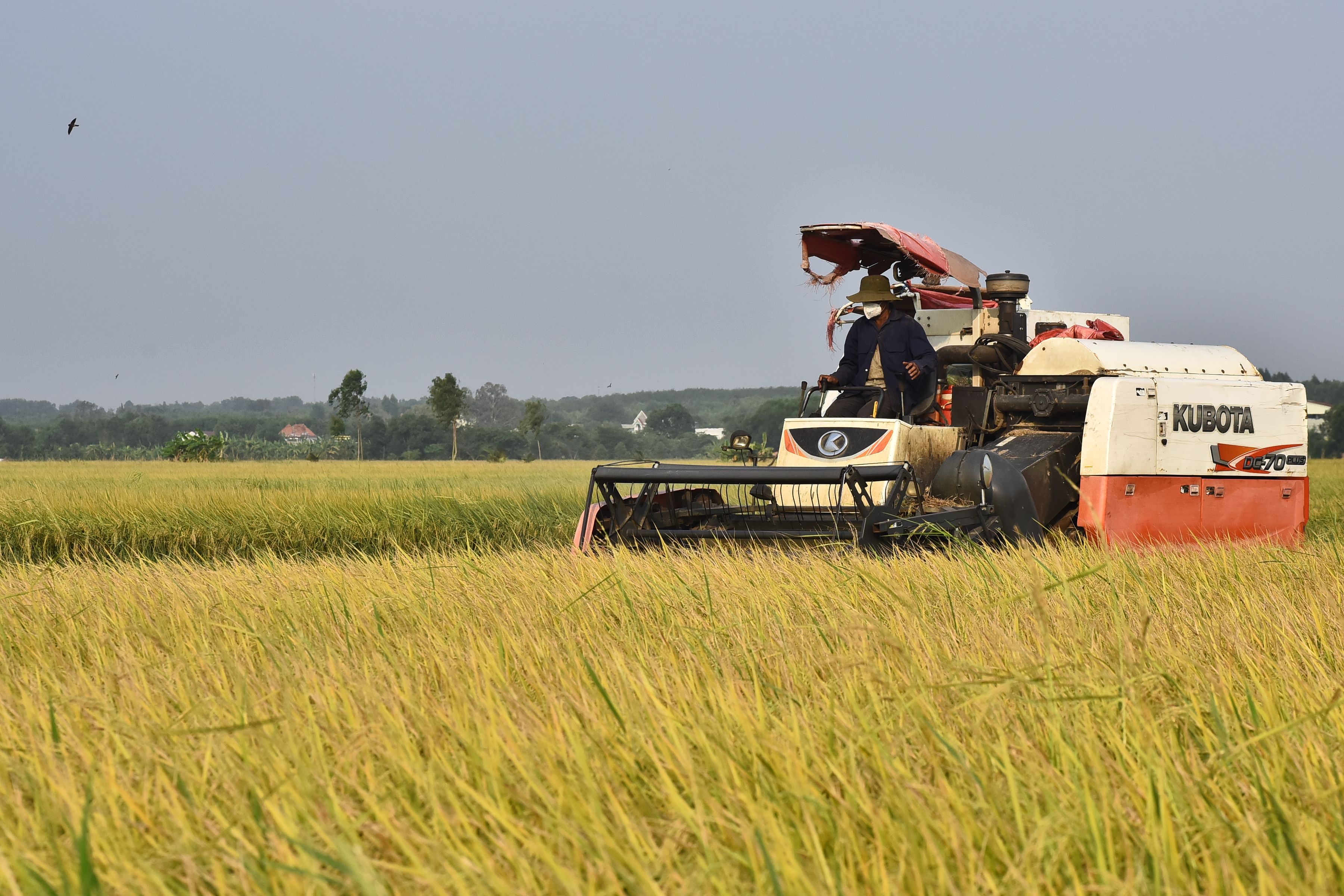 Treinta y Tres consolida su liderazgo agroindustrial con proyectos innovadores y apertura comercial