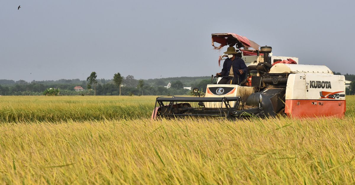 Treinta y Tres consolida su liderazgo agroindustrial con proyectos innovadores y apertura comercial