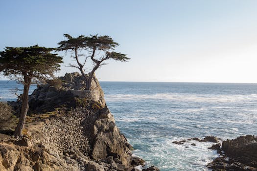 Carmel By The Sea, United States photo 1
