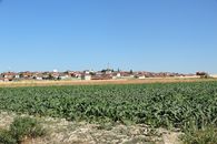 A panoramic view of a rural village with green fields under a clear blue sky.