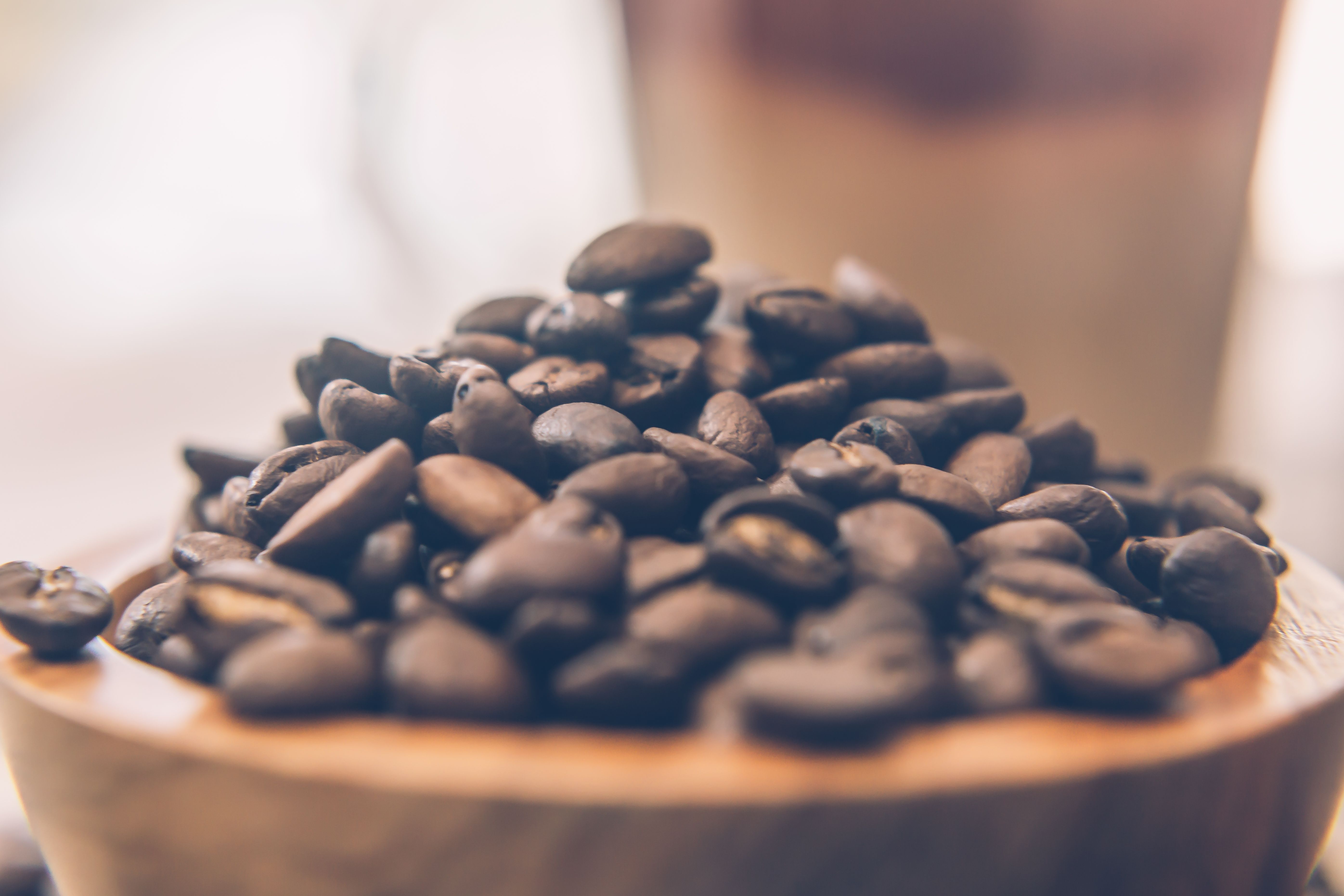 コーヒー粕をインクとして使用する RITI コーヒー プリンターは、次世代の環境に優しいプリンターのエキサイティングな新しいデザインです。 グリーンサイエンスの写真を もっと見る 。 生息地