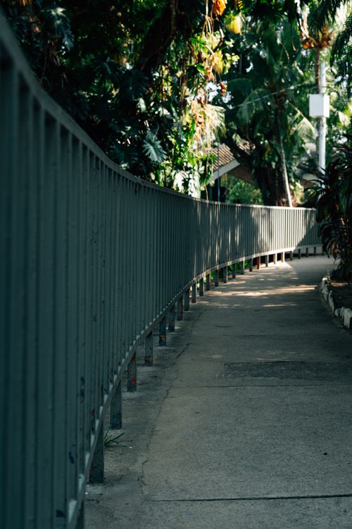 Free A curved pathway surrounded by lush green foliage with sunlight filtering through the leaves creating a serene atmosphere. Stock Photo