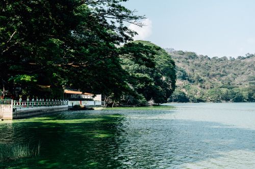 Free Peaceful lakeside scene with lush trees, clear water, and distant hills under a bright sky. Stock Photo