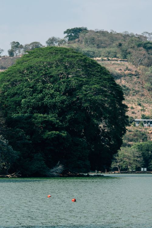 Free Serene lake with a lush green hillside and vibrant vegetation on a clear day. Stock Photo