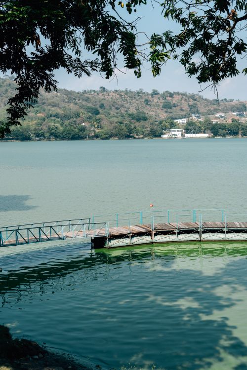 Free Serene lakeside scene featuring a wooden dock extending into calm waters, framed by overhanging branches. Stock Photo