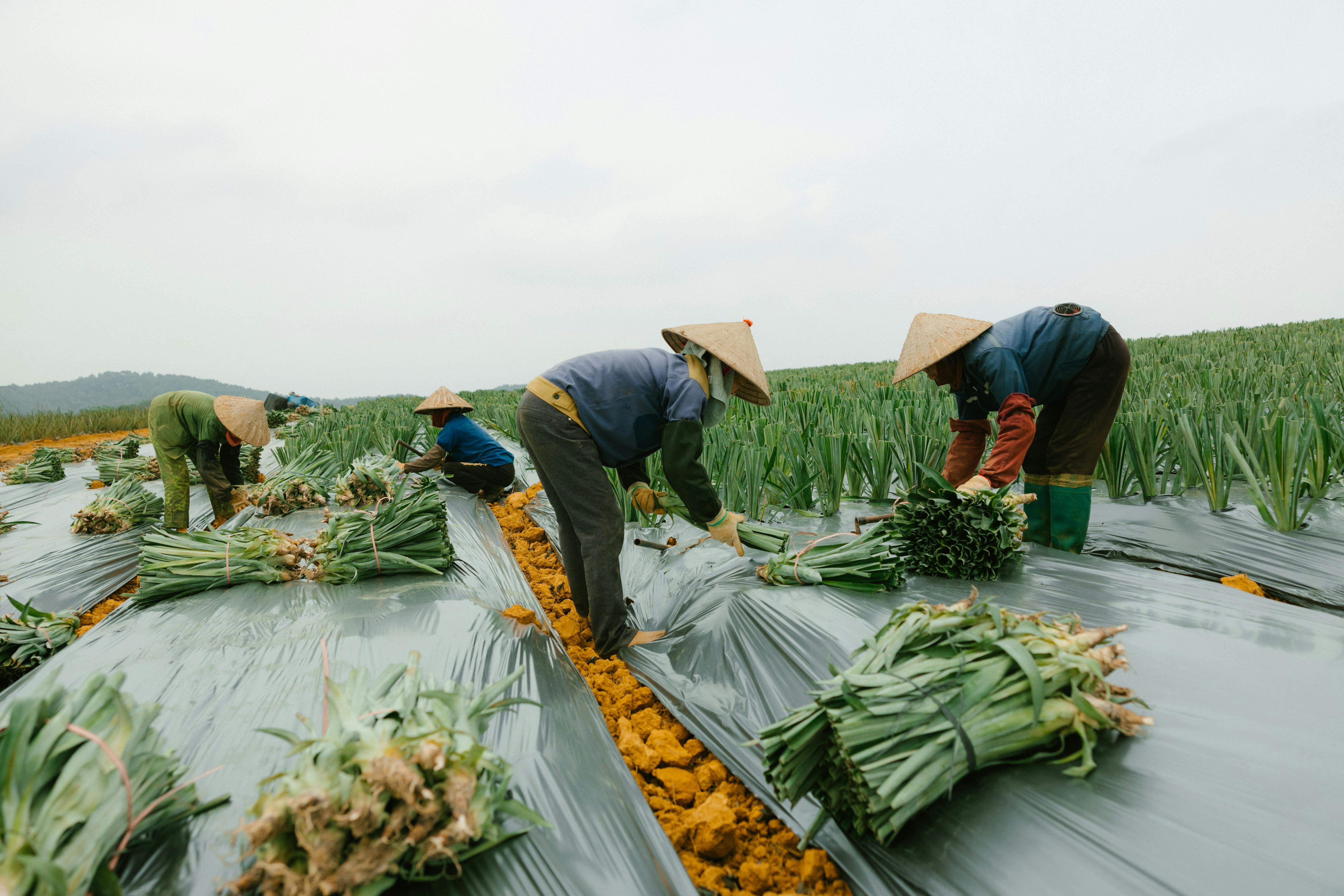$30,000 CD vs. $30,000 high-yield savings account vs. $30,000 money market account: Which will earn more interest? — Photo by