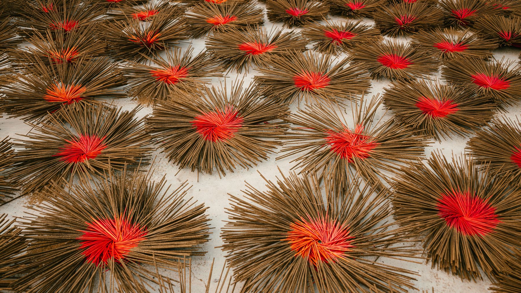A detailed shot of incense sticks with red centers drying in the sun, showcasing traditional craftsmanship.