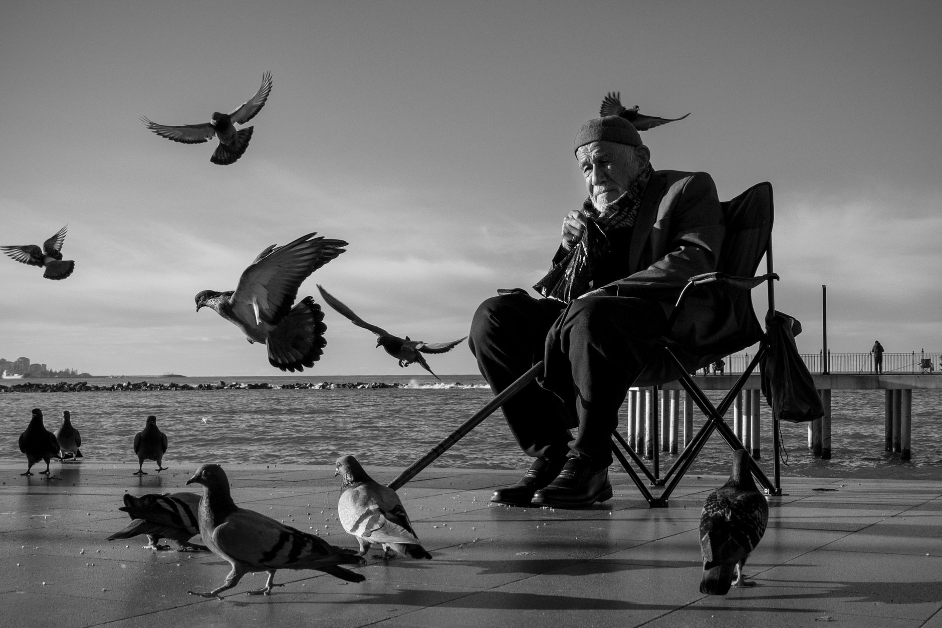Elderly man sitting by the sea feeding pigeons, a moment captured in black and white.