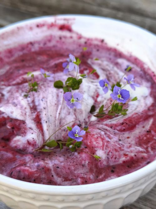 Free A stylish bowl of berry yogurt garnished with purple flowers, perfect for summer. Stock Photo