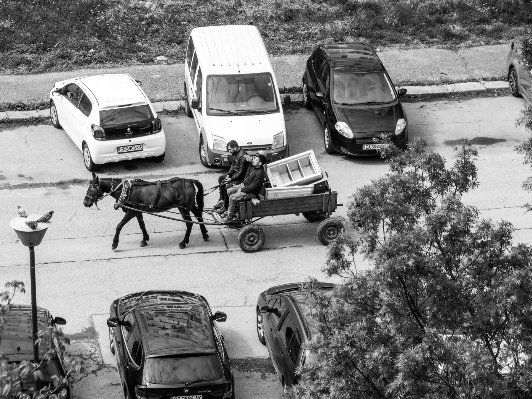 Partridge Green — professional movers carrying furniture on a house move
