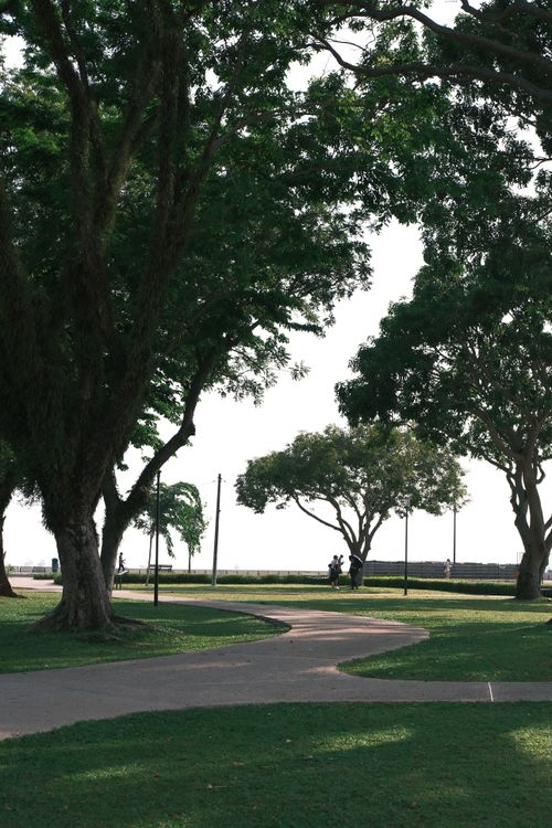 Free A serene pathway meanders through a lush park in George Town, Penang, Malaysia. Stock Photo
