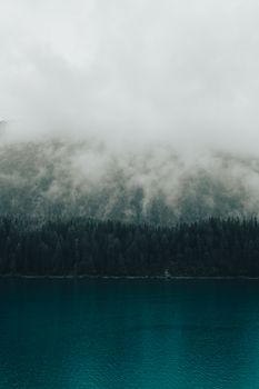 Serene view of a misty alpine lake with a dense forest backdrop in Switzerland.
