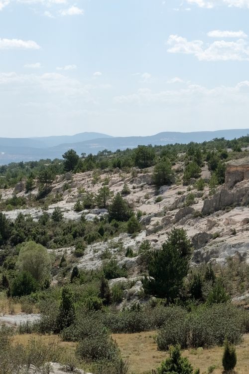 Free Beautiful rocky landscape with green pine trees and hills under a clear sky. Stock Photo