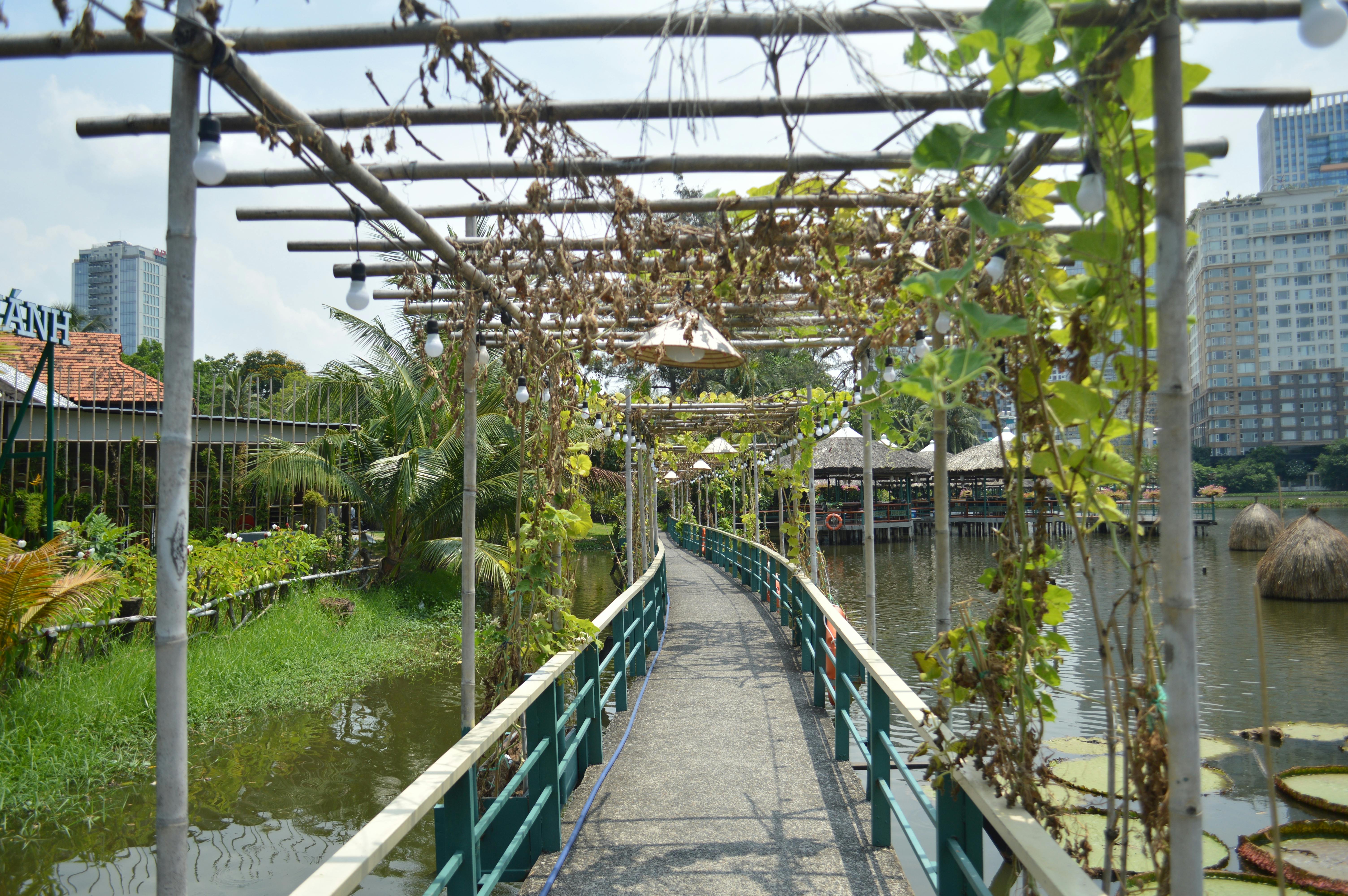 A serene walkway in a tropical urban garden against a city skyline. Perfect for travel and lifestyle imagery.
