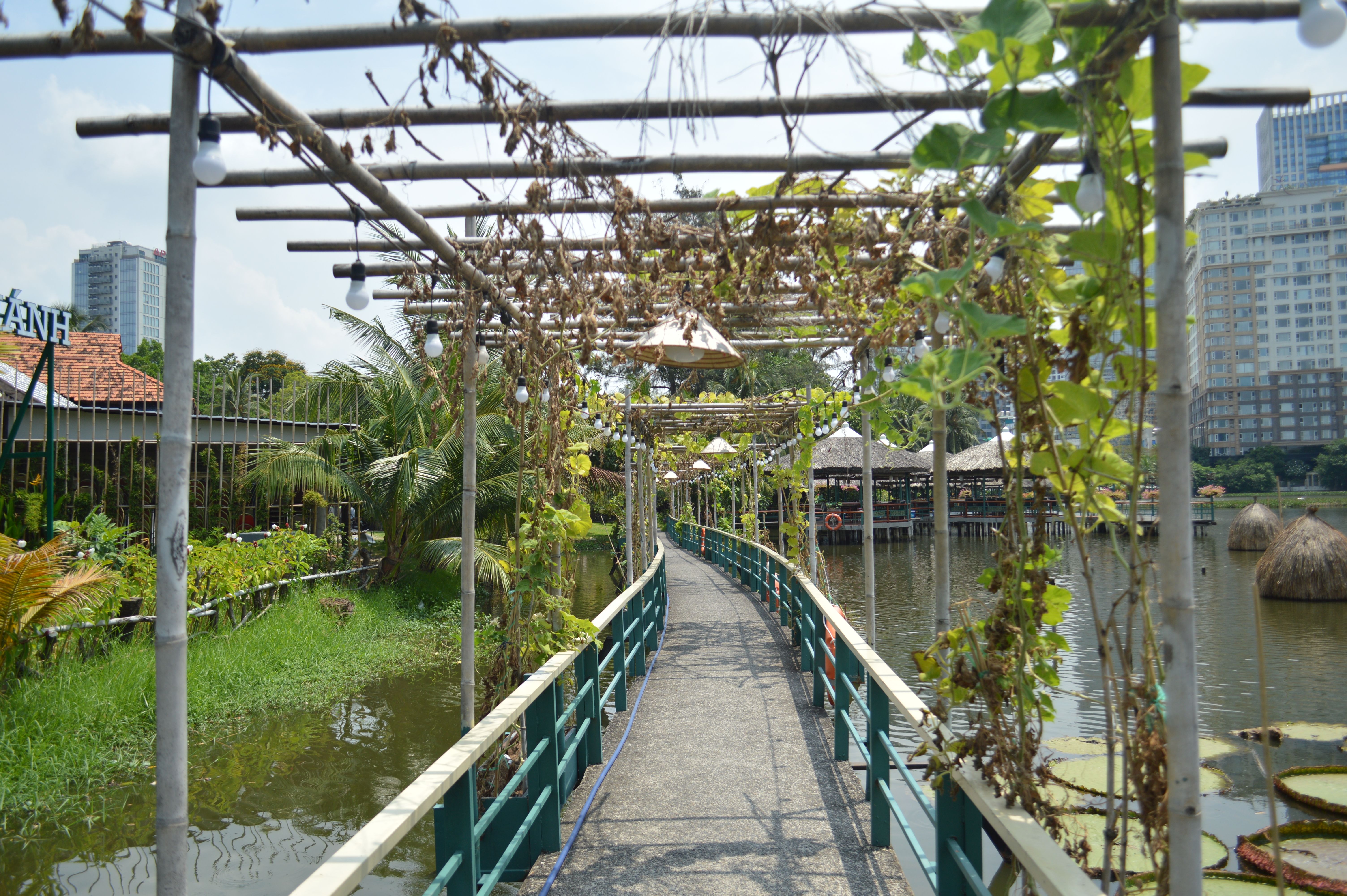 Urban Tropical Walkway in Lakeside Garden