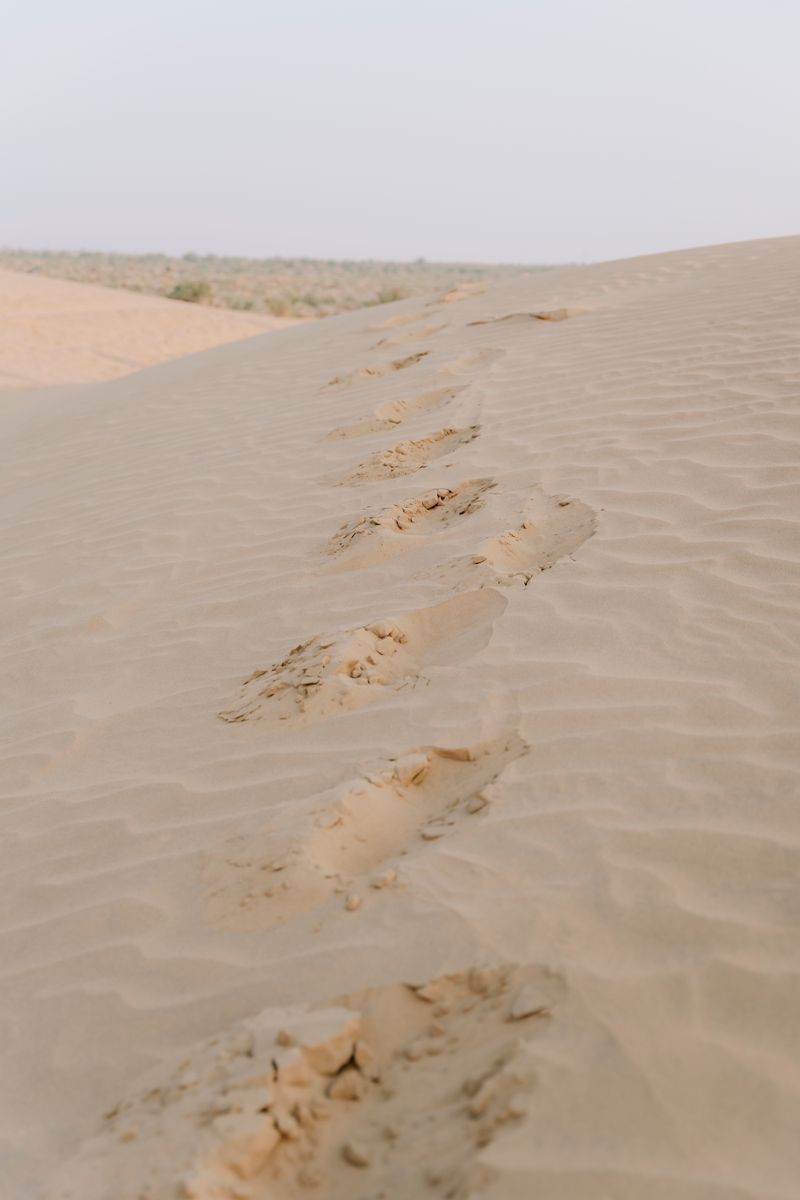 Tracks running over the crest of a sand dune in the Thar Desert