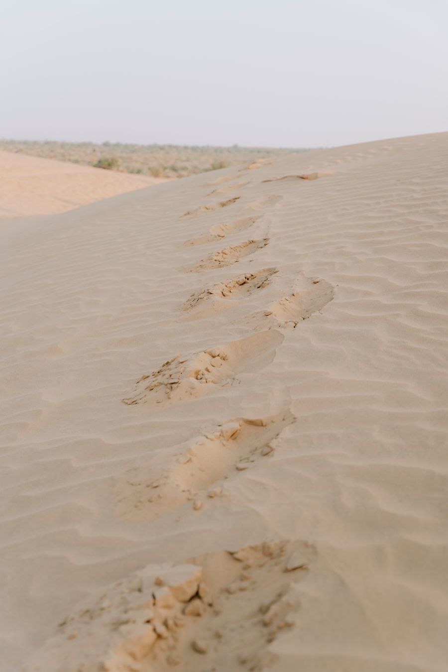Wind-rippled sand dunes on the remote desert road west of Jaisalmer
