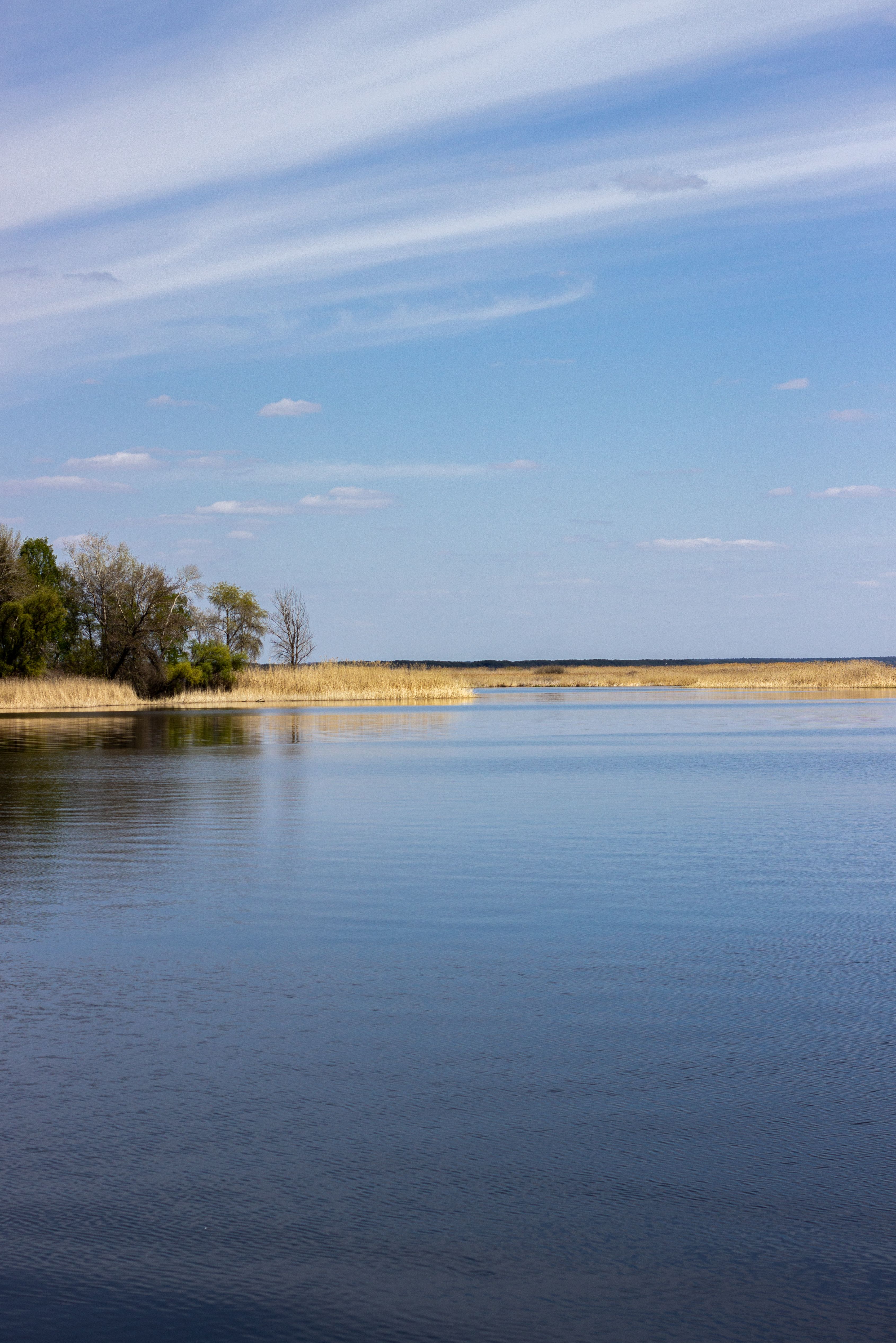 Peaceful Lake with Clear Blue Sky Reflections · Free Stock Photo