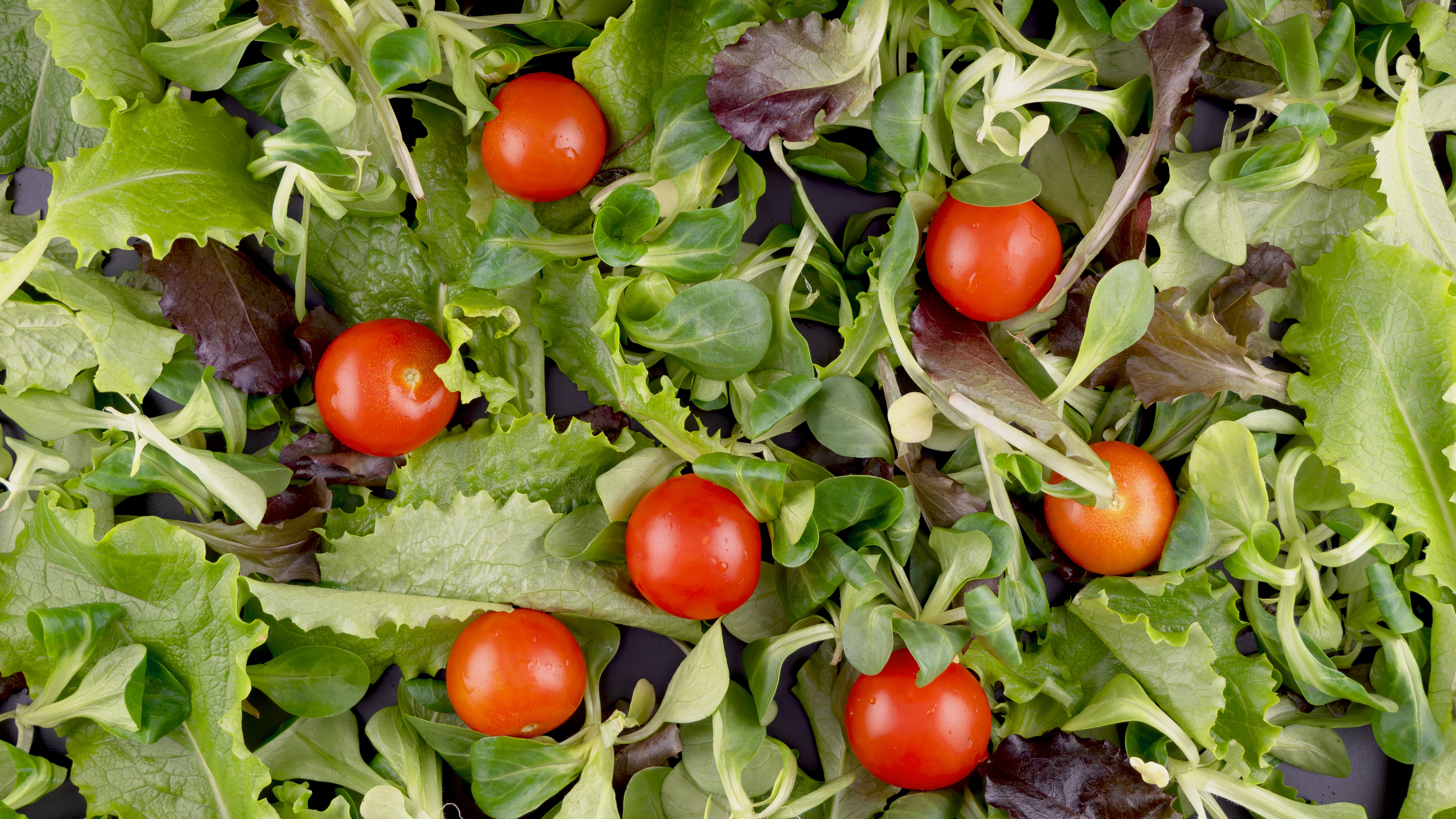 specialty diets special diets examples — Photo by Eleonora Vokueva on Pexels