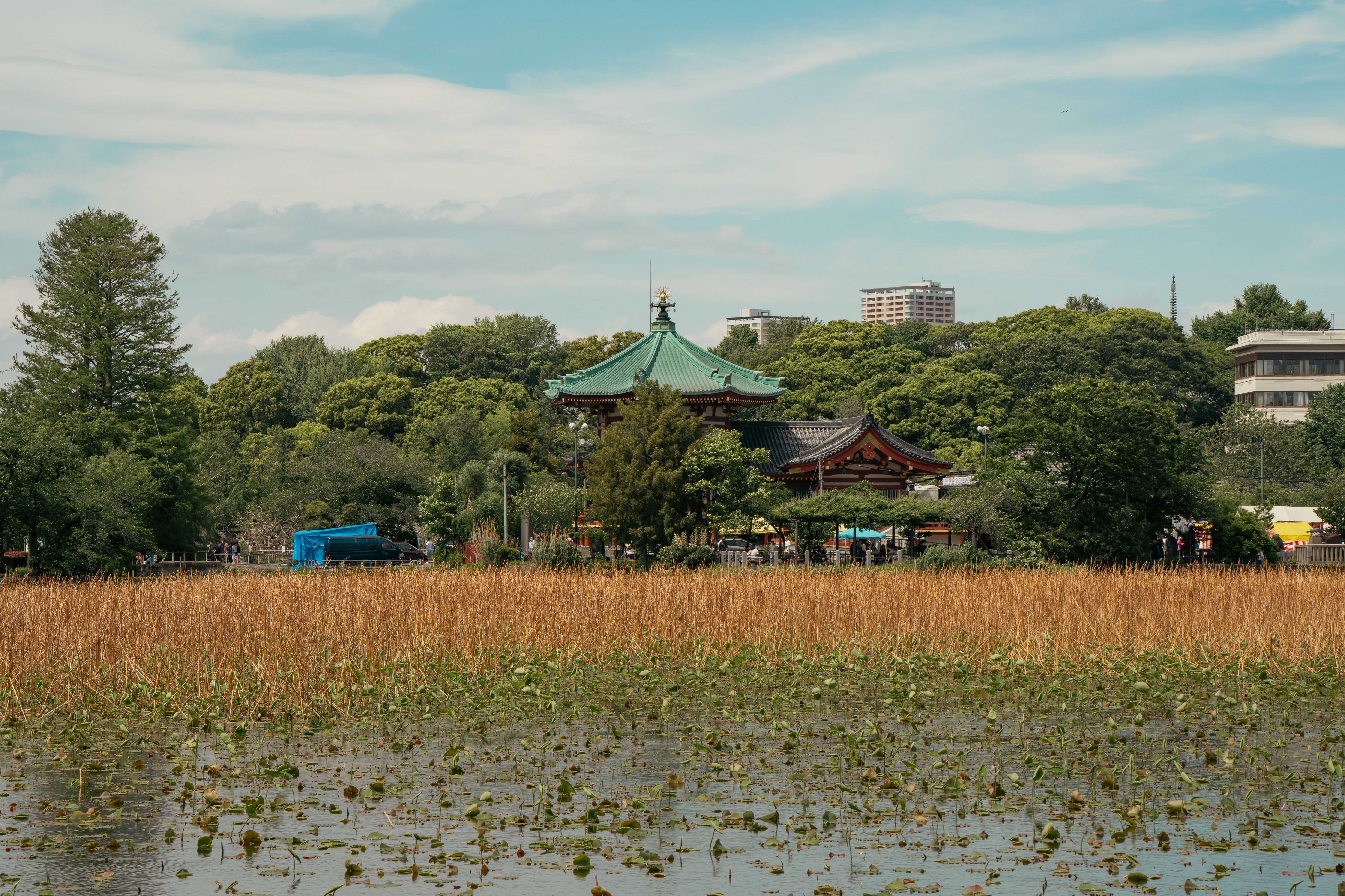 Ueno Park
