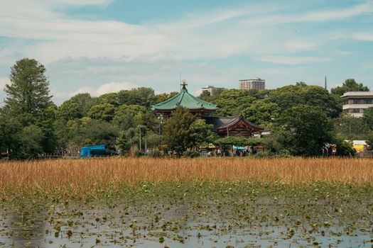 Ueno Park