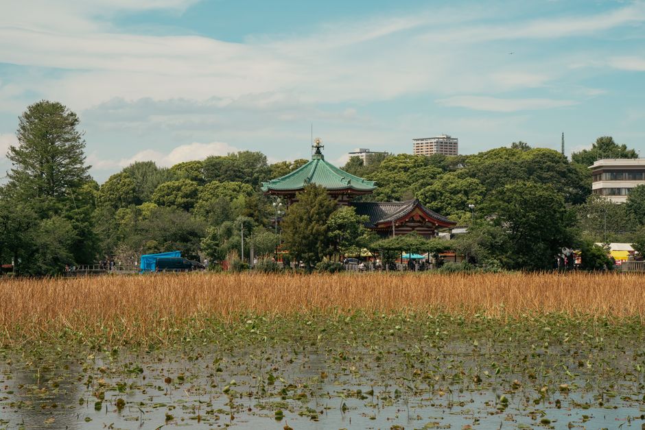 Ueno Park