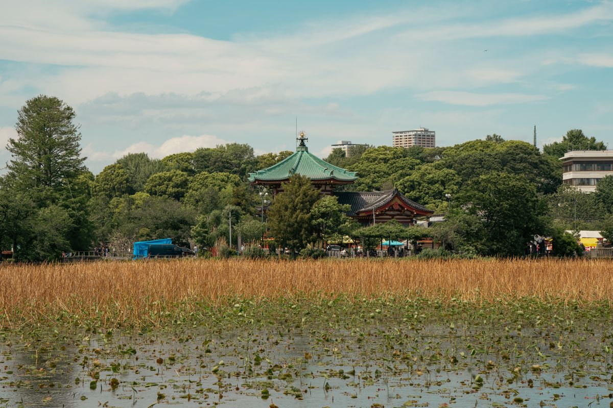 Unde te cazezi în Tokyo - templul Bentendo în parcul Ueno