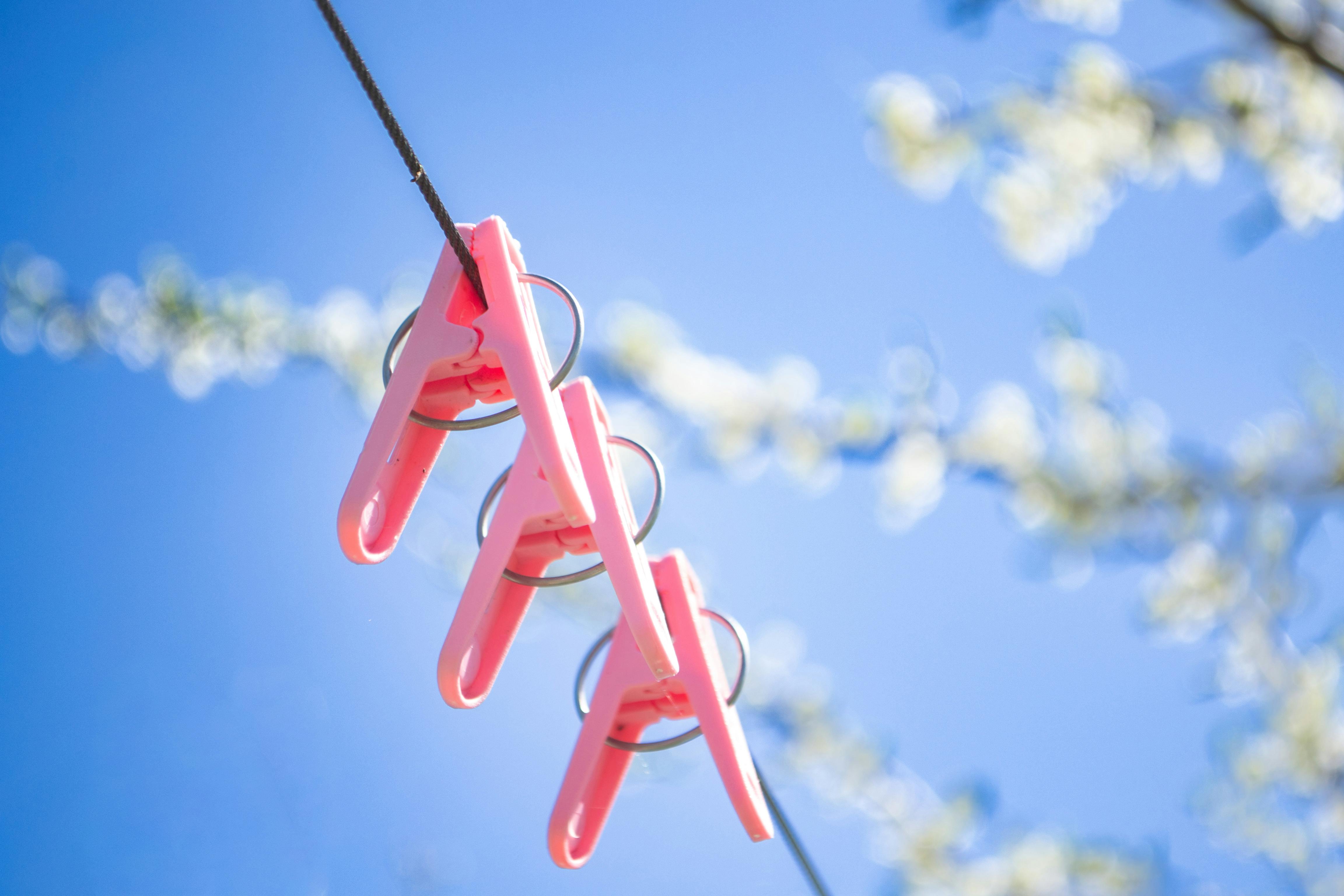 Give your home a spring reset for less than $100 with these DIY home improvement projects — Photo by crysoft on Pexels