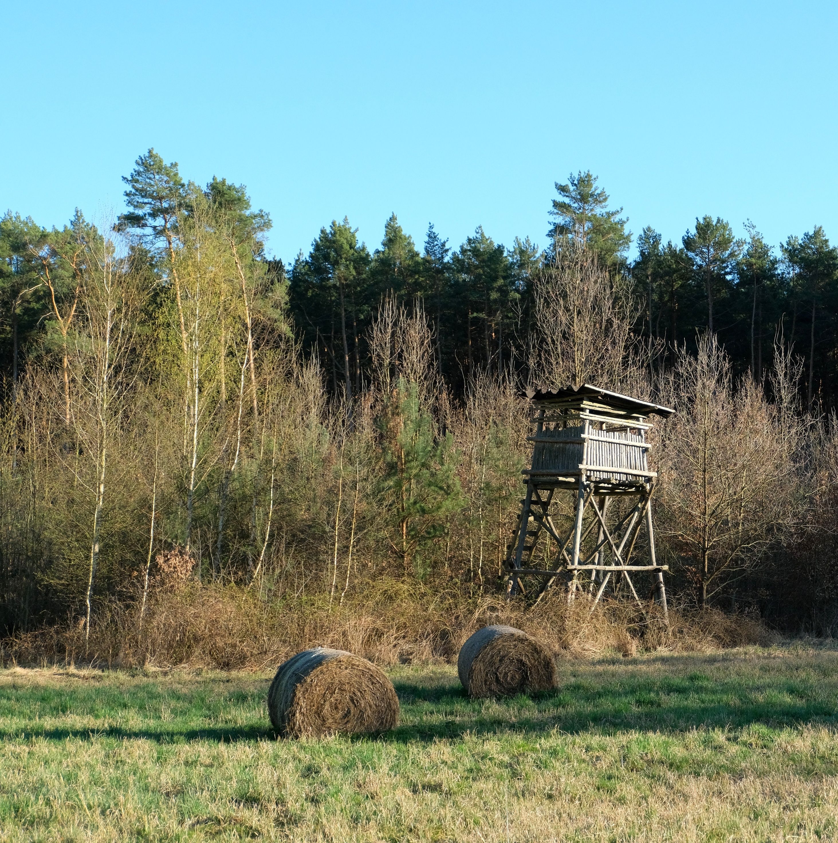 Tranquil landscape with a wooden watchtower in forest clearing beside hay bales.