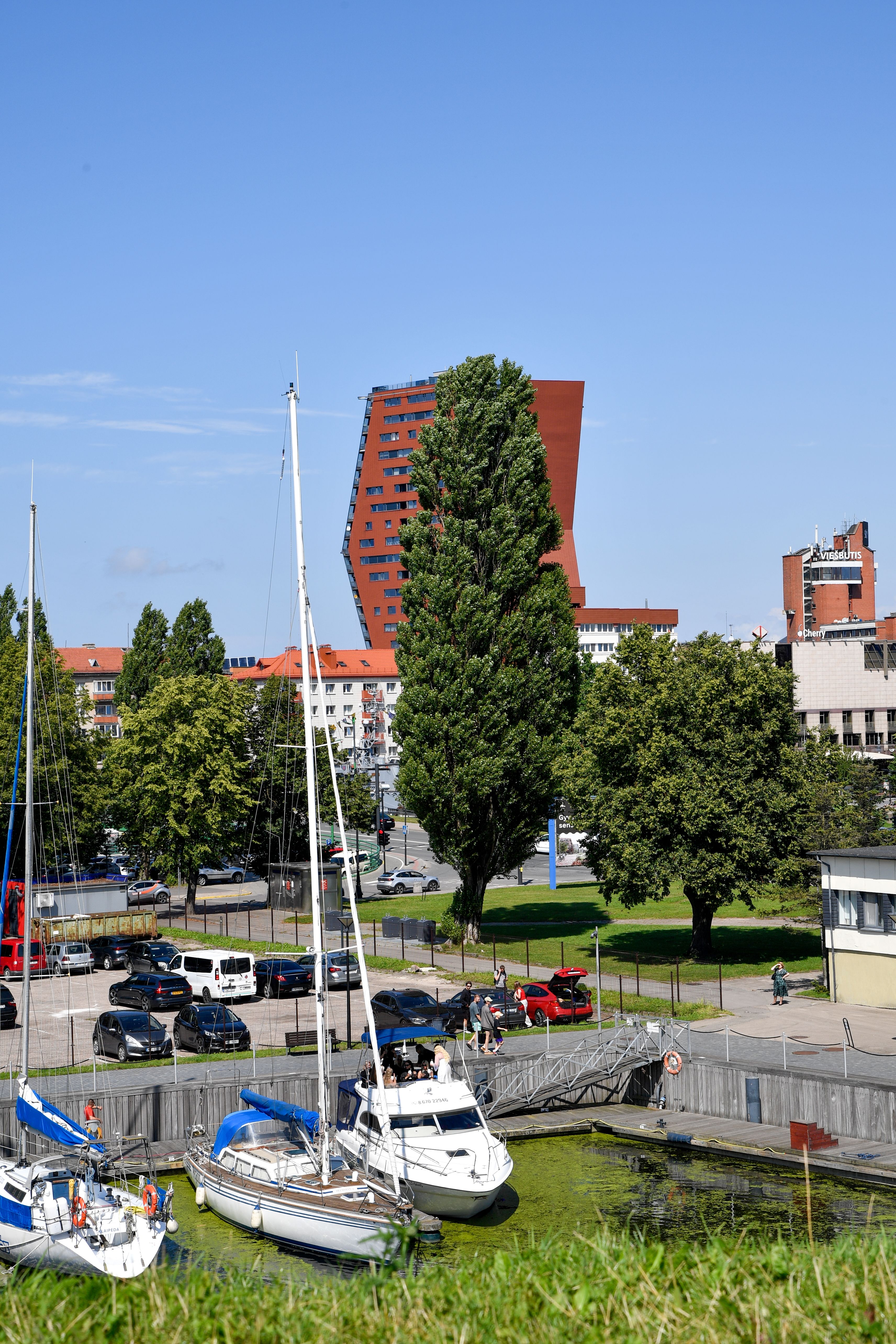Summer view of Klaipeda's urban landscape featuring boats, modern architecture, and lush greenery under a clear blue sky.