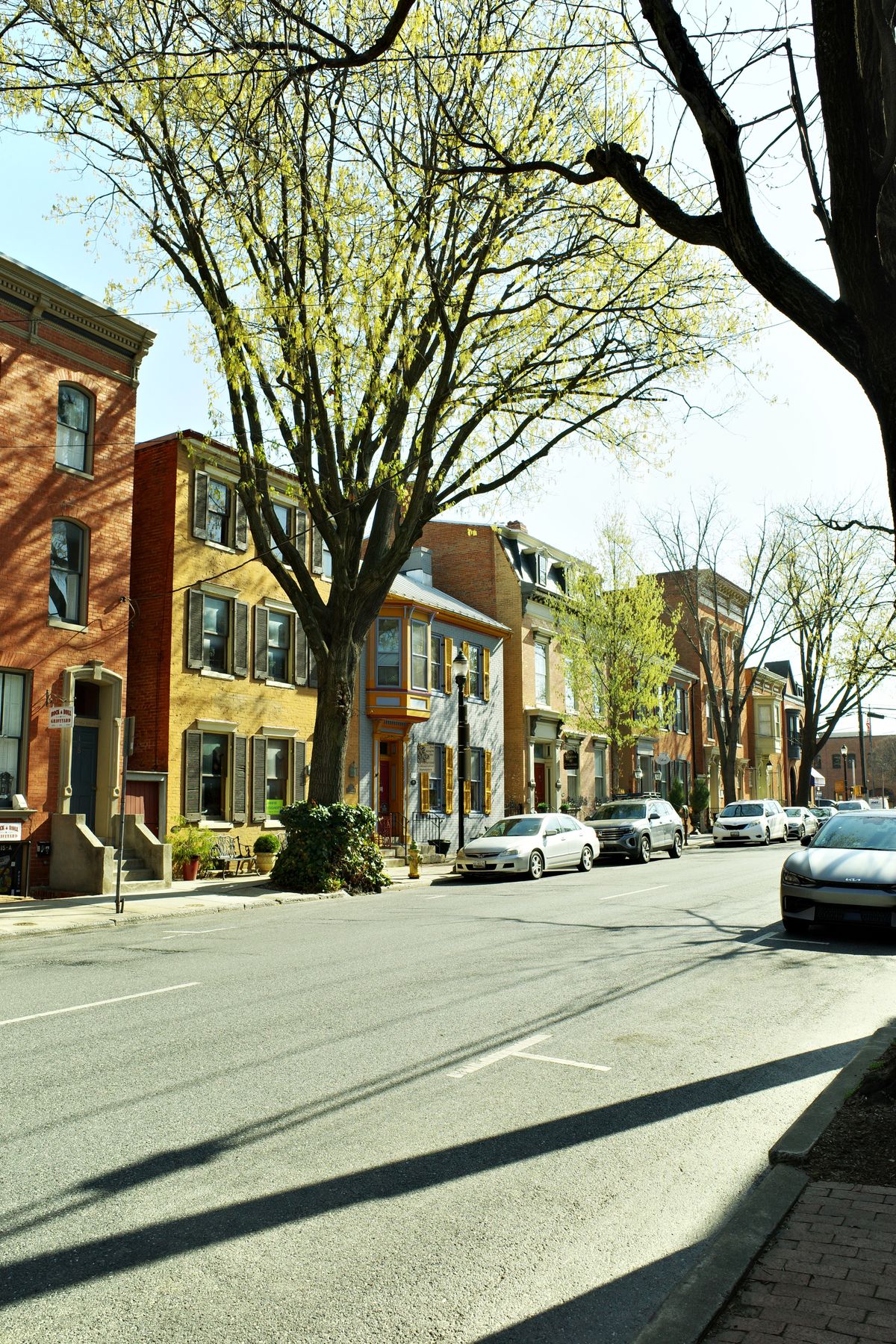 A historic Maryland main street with classic brick buildings under blossoming trees