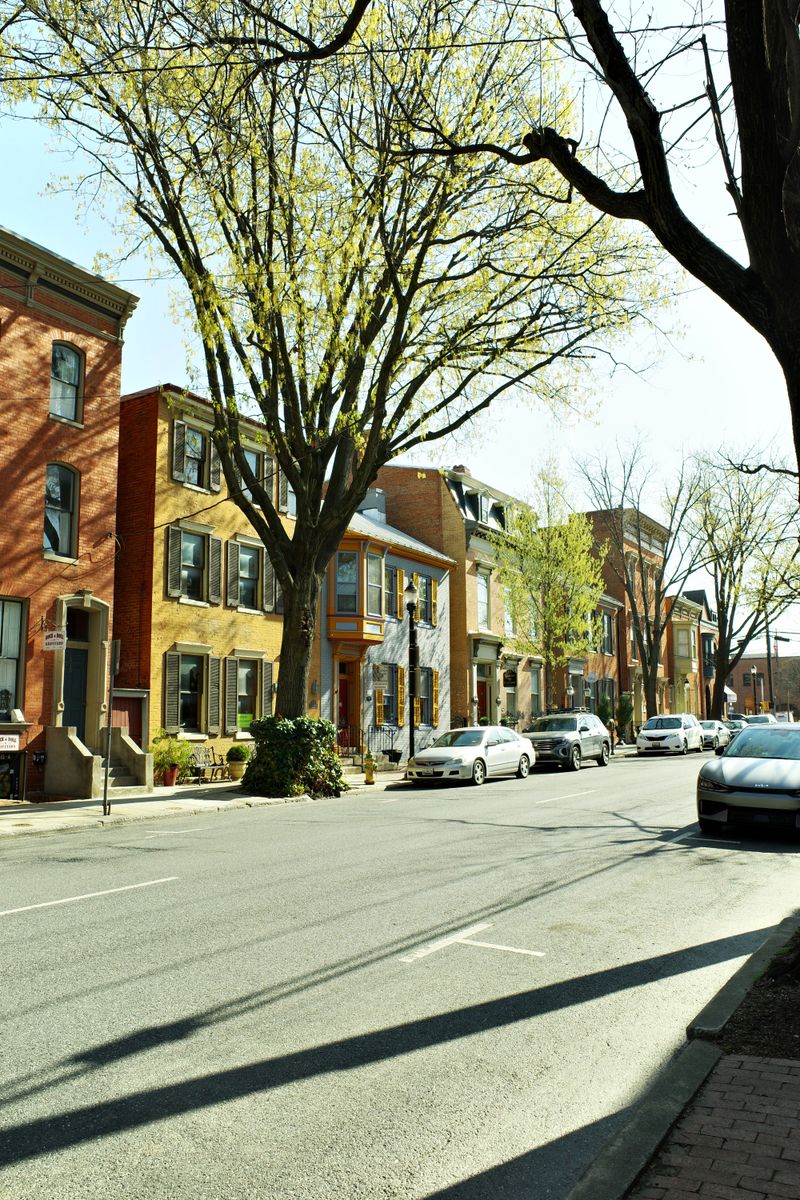 Row of brick townhouses along a tree-lined residential street