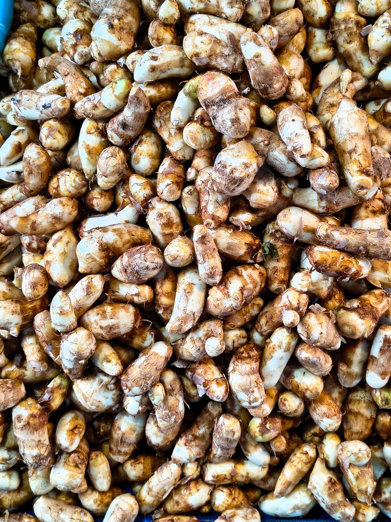 Galangal — Lengkuas