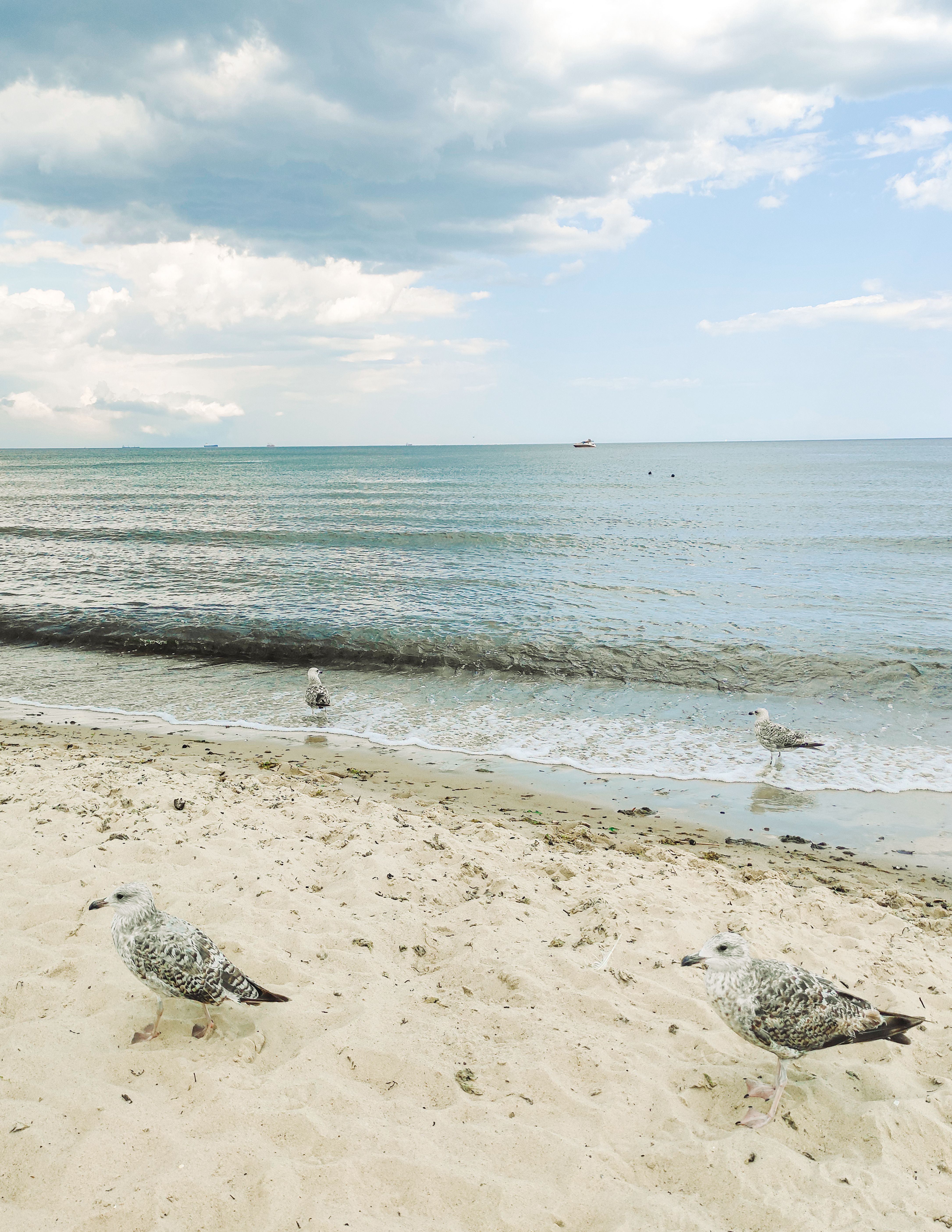 Dlaczego warto rozważyć apartamenty przy plaży w Sopocie?