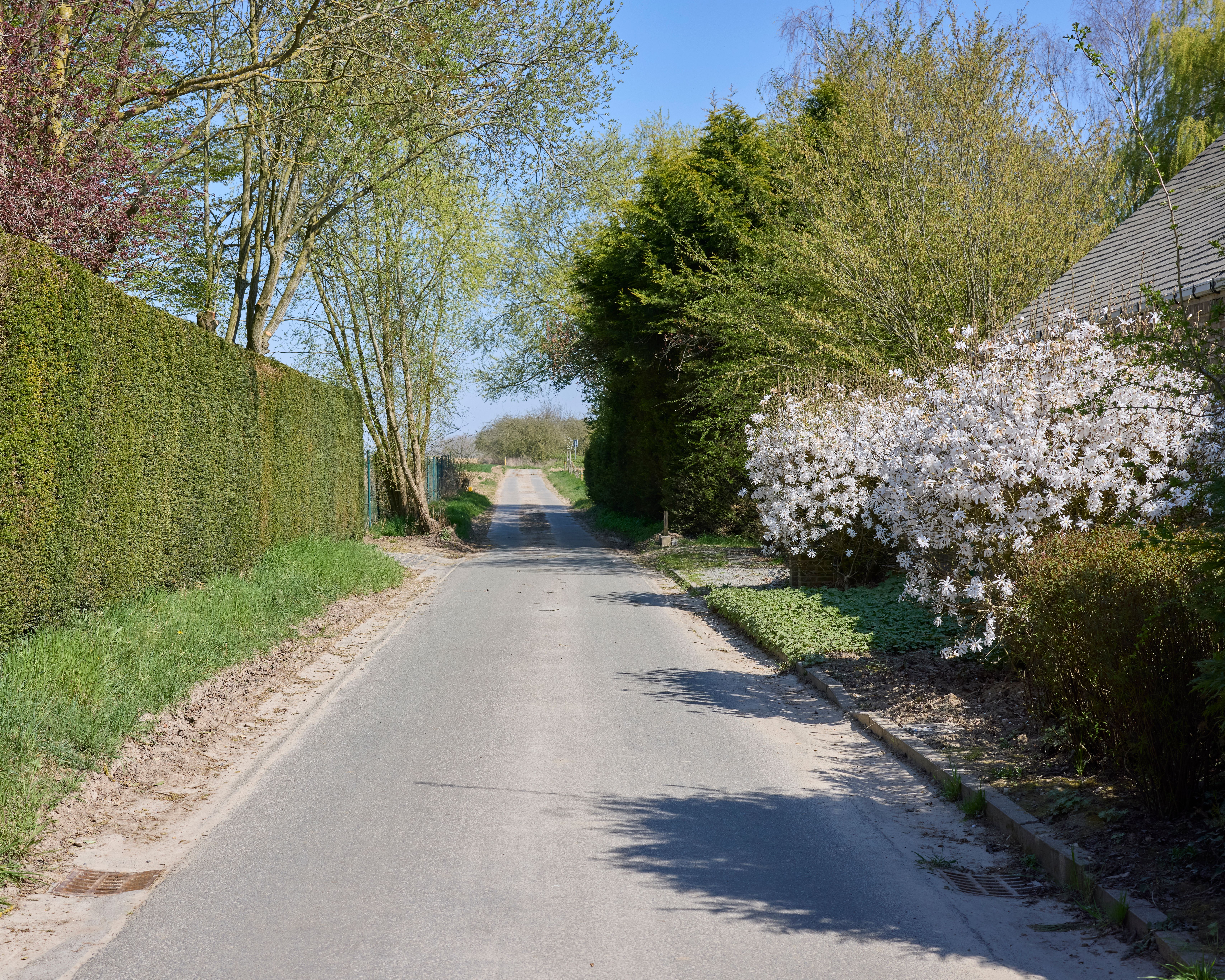 Schutting en tuinafscheiding