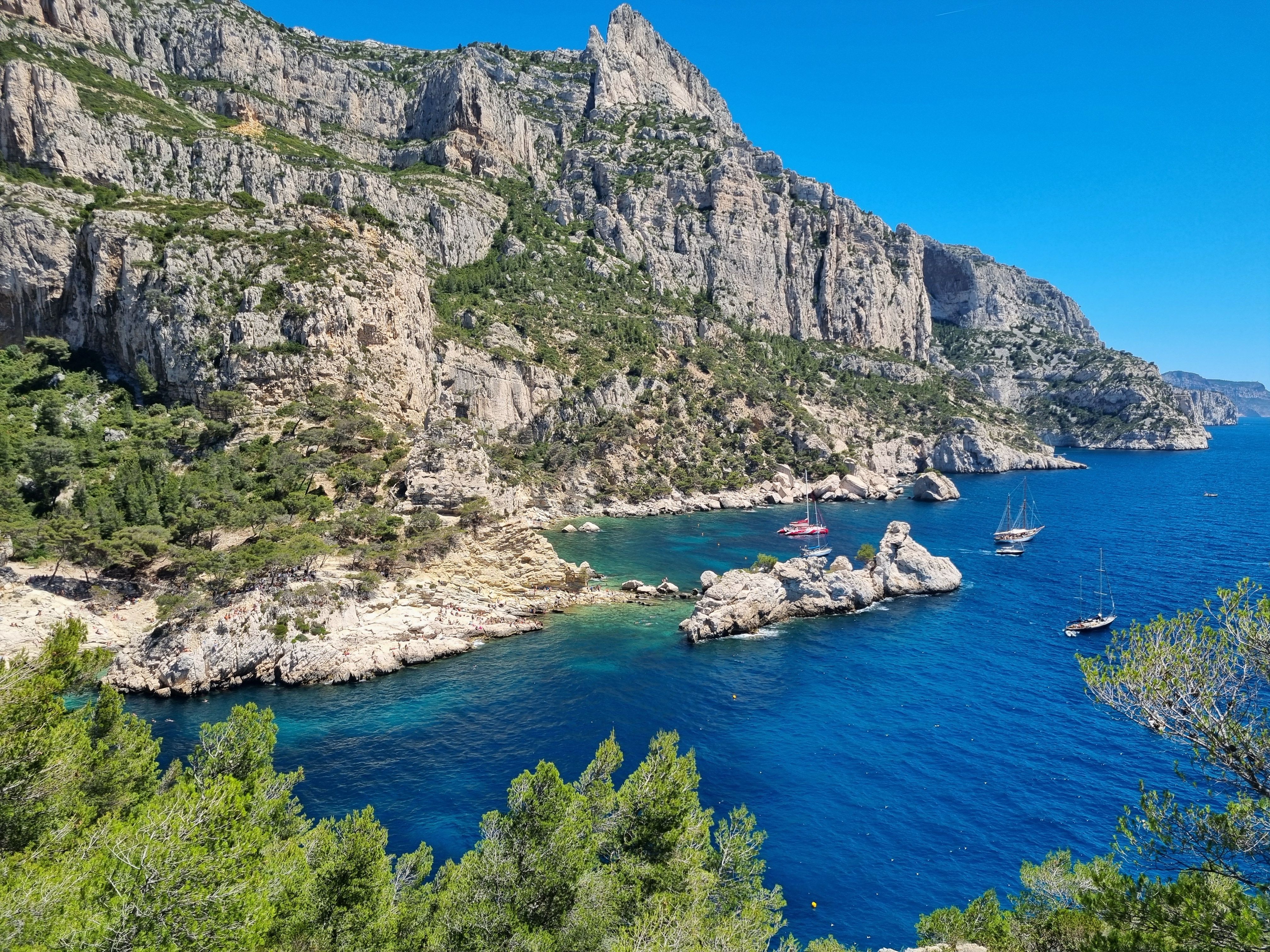 Scenic Landscape Of Sea, Cliffs and Forest · Free Stock Photo