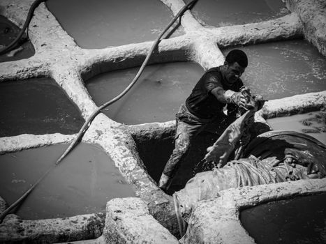 A worker processes leather in a traditional tannery in Fez, Morocco, showcasing artisanal heritage.
