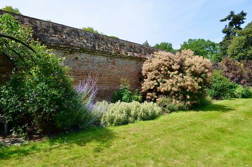 Free Sunny garden scene featuring lush greenery and a historic brick wall. Stock Photo