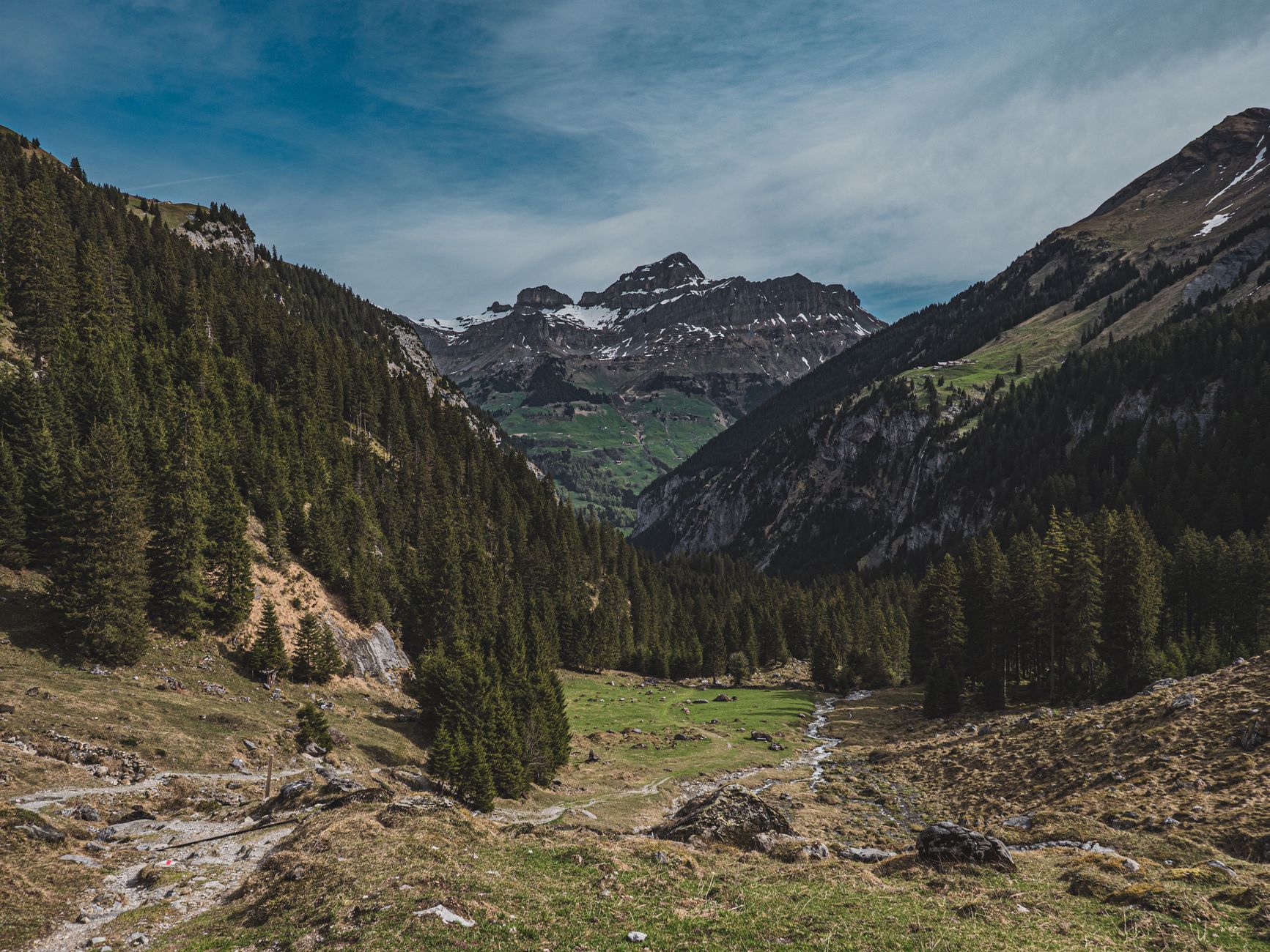 Découverte de la nature par le jeu