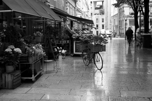 Black and white photo of a quiet, rainy street in Lyon, France, with a bicycle parked.
