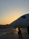 Aviation maintenance director