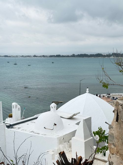 Free Scenic view of white domed buildings and a serene sea in Hammamet, Tunisia. Stock Photo