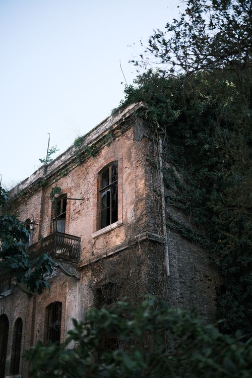 Free An overgrown, abandoned building with historical architecture in Istanbul, Türkiye. Stock Photo