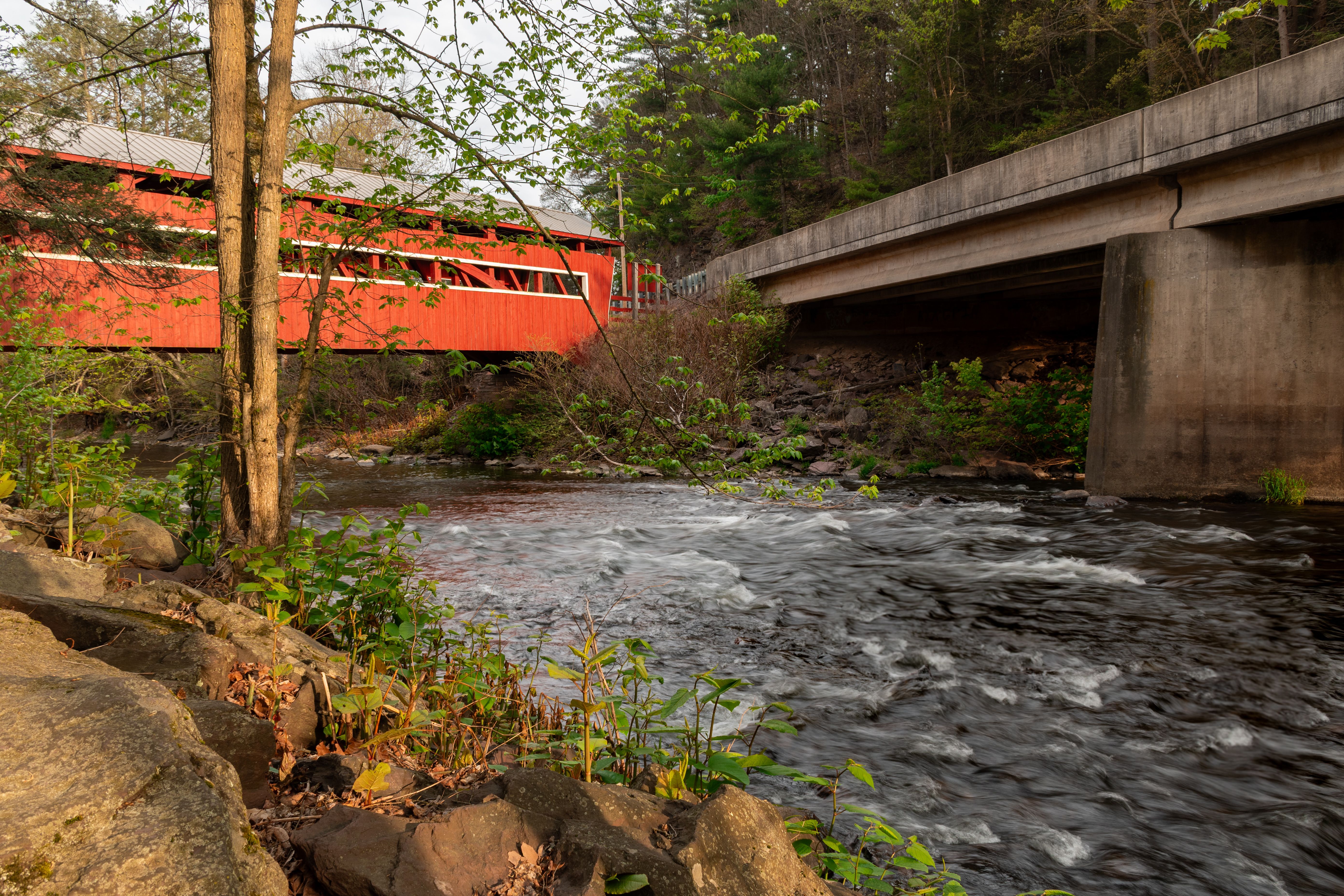 Scenic View of Red Covered Bridge Over River · Free Stock Photo