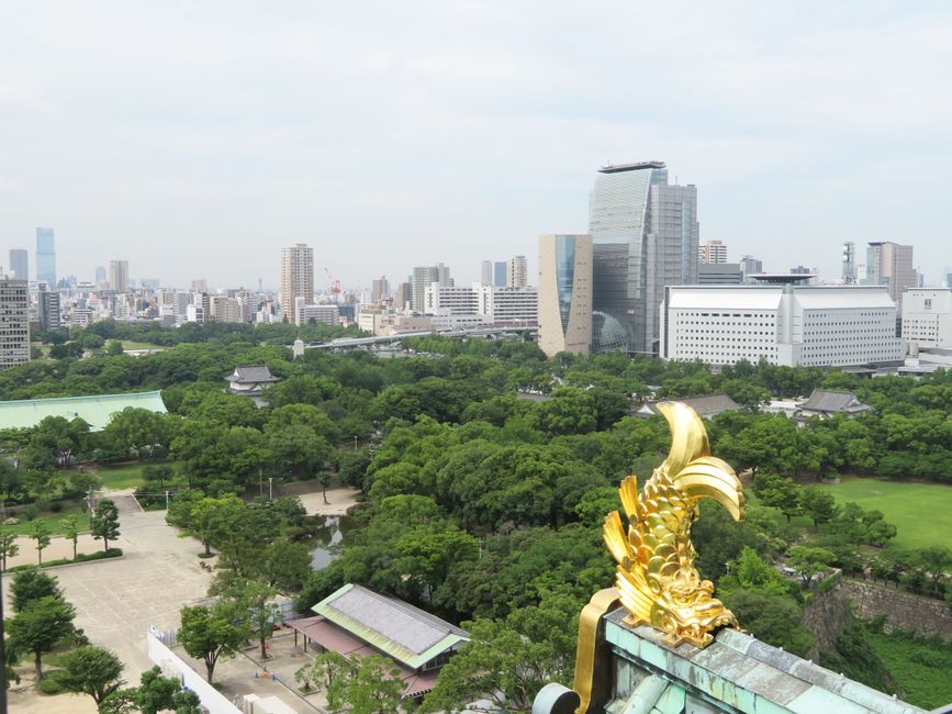 アジア, シティービュー, しゃちほこの無料の写真素材