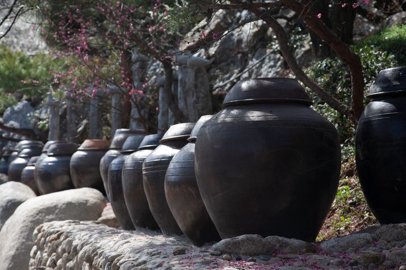Fermented onggi